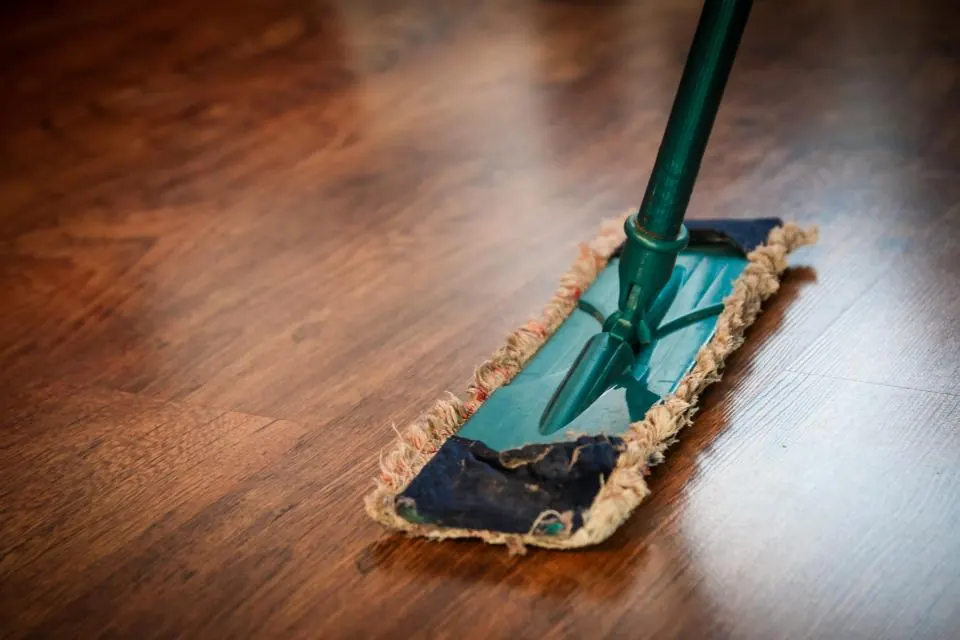 A mop cleaning a hardwood floor