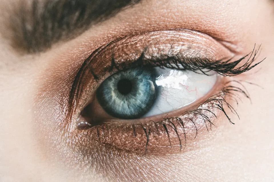 Close-up of an eye with defined lashes
