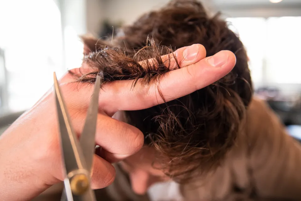 A hairdresser trimming a client's hair
